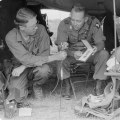 Honoring the Brave: The Number of Purple Heart Recipients among Veterans in Southwest Washington